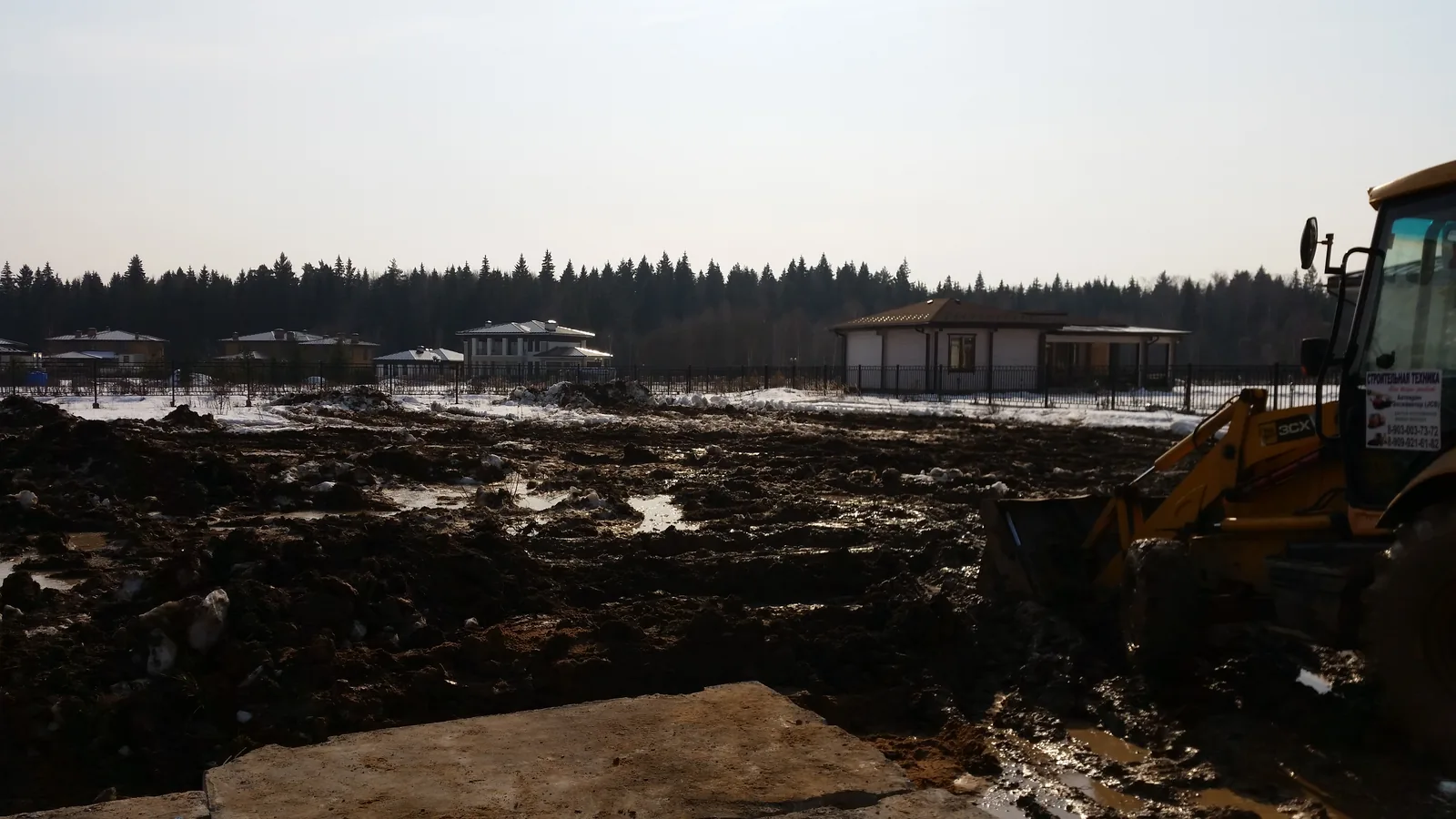 The plot before work begins: clearing and preparing the site